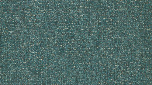 Kauri 312955